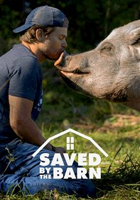Saved by the Barn